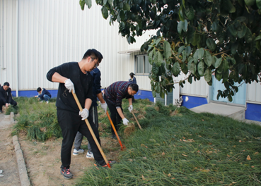 情暖三月雷鋒日，栽種綠植添春光